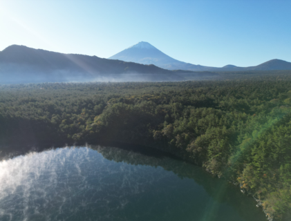 森と過ごす時間